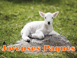 Image Agneau P�ques