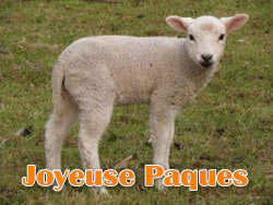 Image Agneau Pascal
