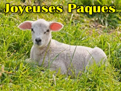 Image Agneau de P�ques