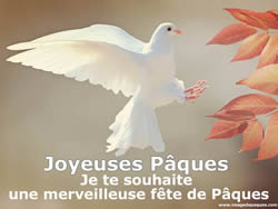 Image gratuites Colombe P�ques