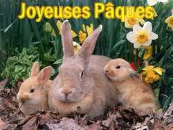 Image Lapin P�ques