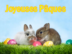 Image Lapin de P�ques