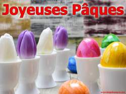 Images Oeuf de P�ques