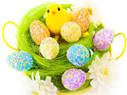 Images poussin P�ques