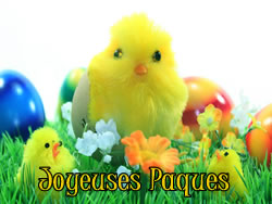 Image Poussin de P�ques