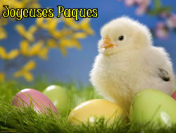 Image Poussin P�ques