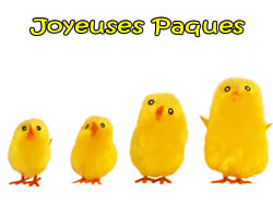 Image Poussin de P�ques