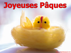 Plus Belles Images Poussin de P�ques